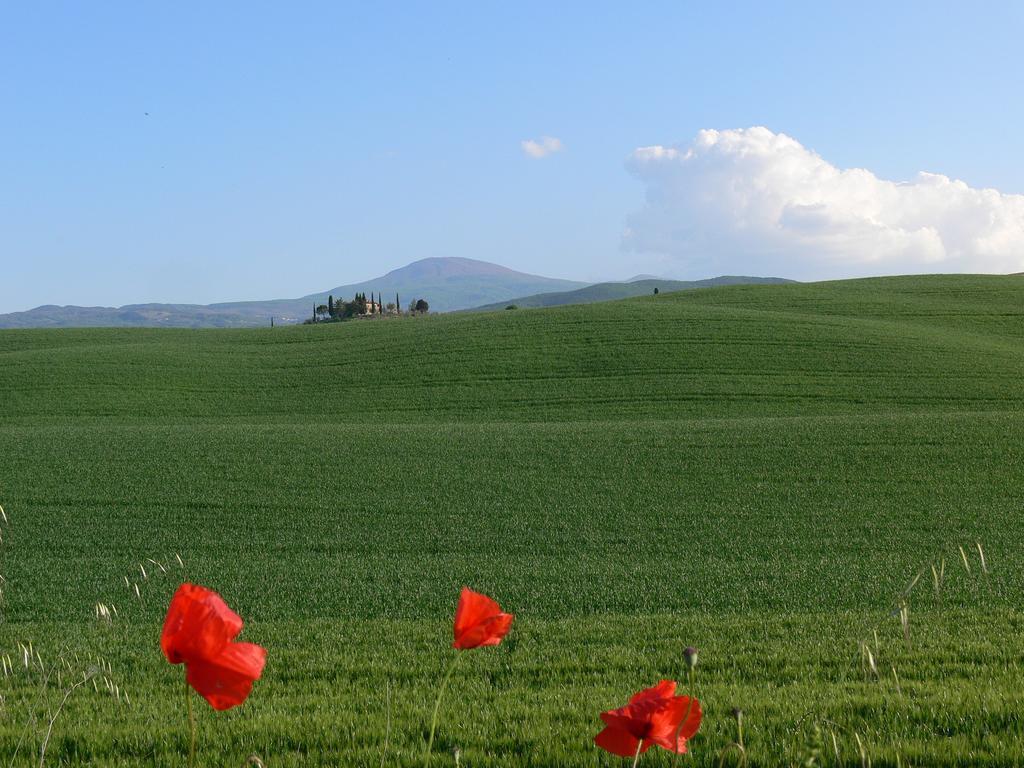 הוילה Campiglia dʼOrcia Le Rogheta מראה חיצוני תמונה